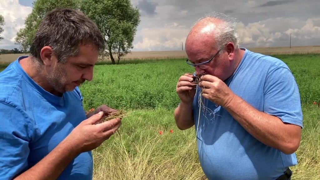 L’inquiétude des agriculteurs grandit pour la récolte des foins