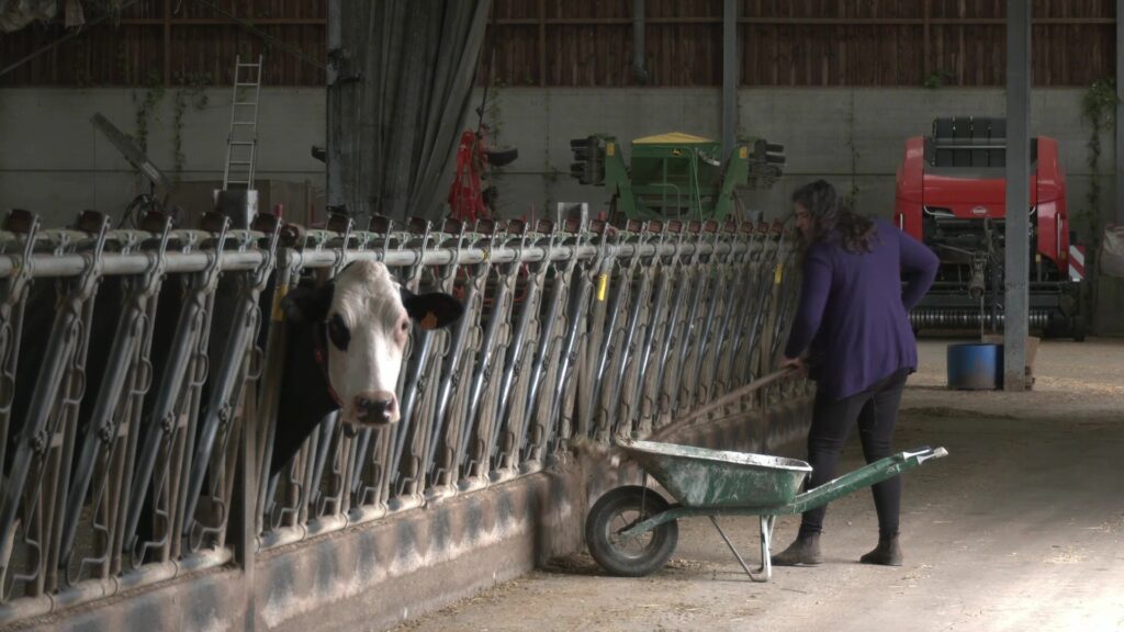 Le bonheur est à la ferme