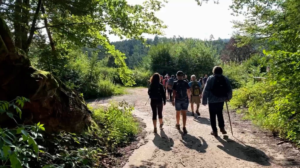 Une randonnée à la découverte du patrimoine naturel du pays de Bitche