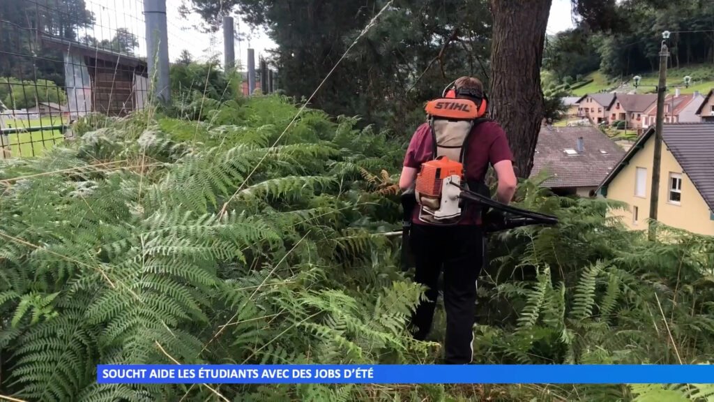 Soucht aide les étudiants avec des jobs d’été