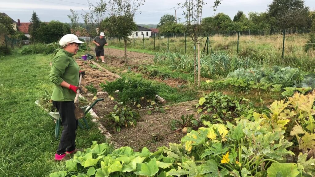 Agrandissement du jardin partagé pour les scolaires à Rech