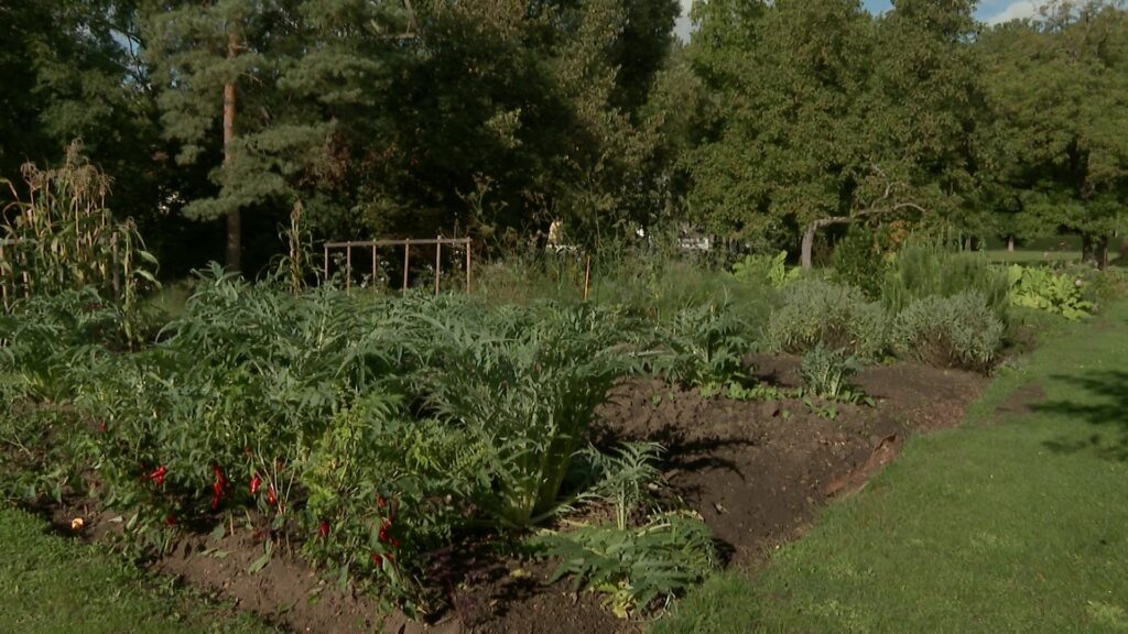 L’auberge Saint-Walfrid cultive ses propres légumes