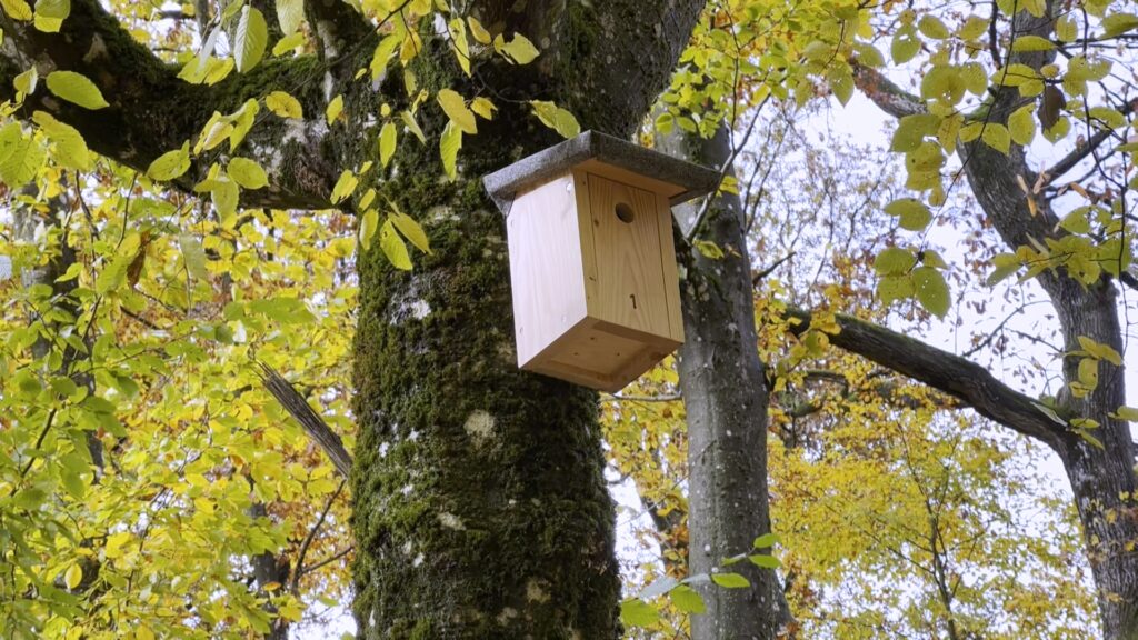 500 nichoirs à mésanges installés à Sarreguemines et ses environs