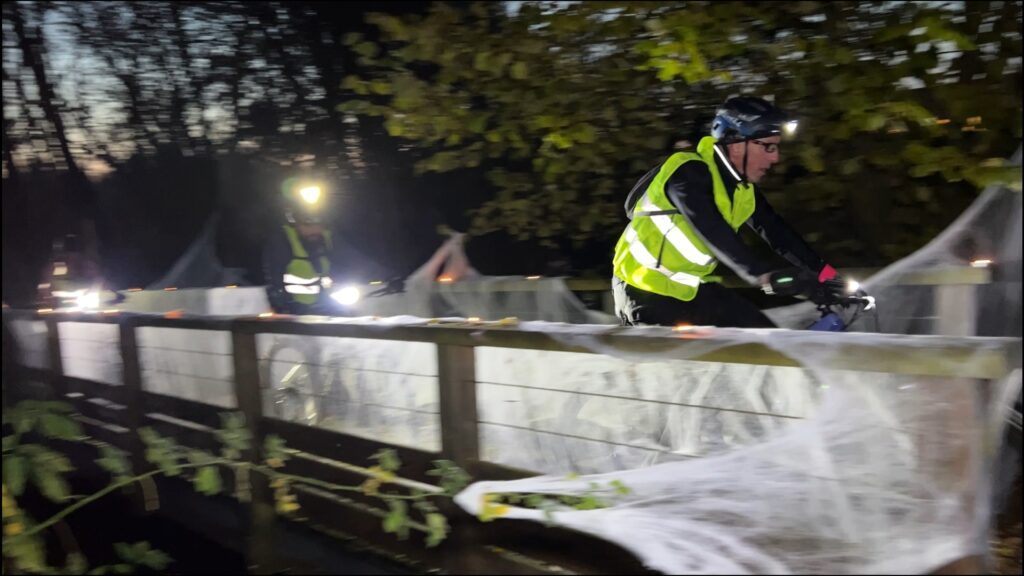 Des lucioles en bicyclette ont traversé la nuit