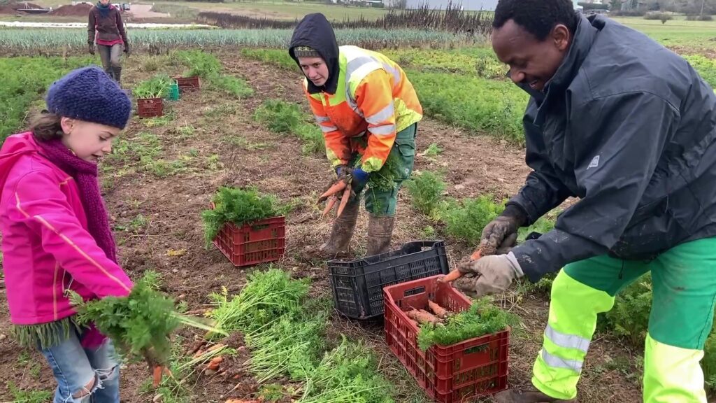 Réinsertion sociale dans “La Ferme Verte”