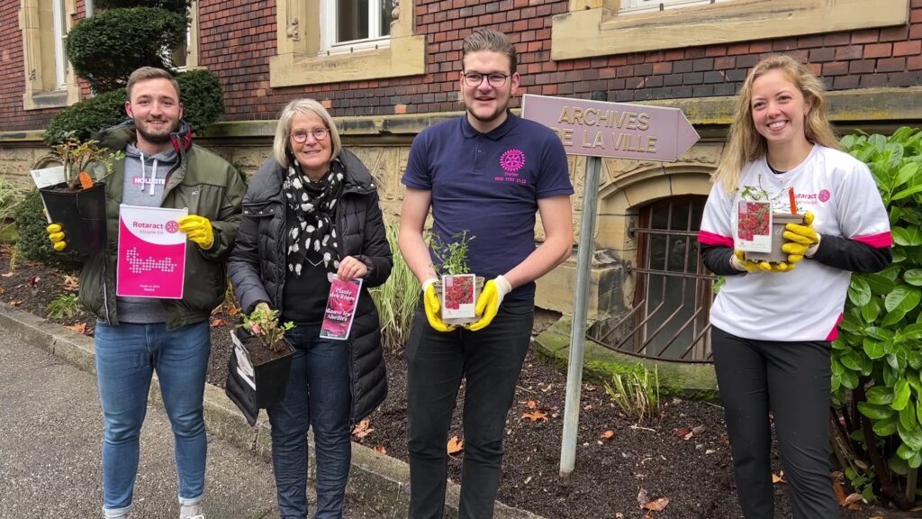 Le Rotaract Moselle-Est plante des rosiers