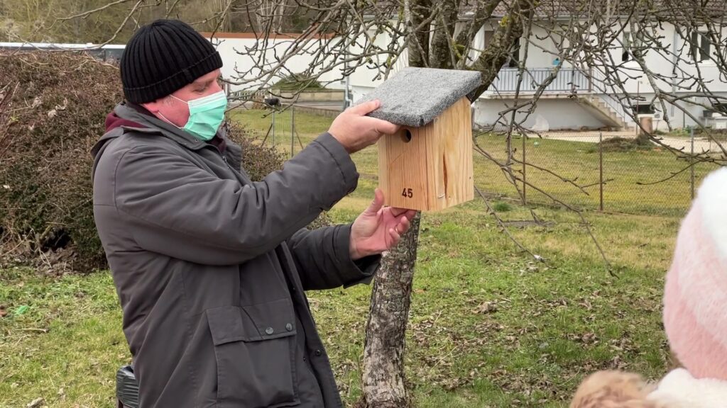 Les élèves de Sarralbe et Rech installent des nichoirs à mésanges