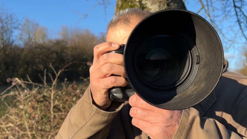 Photographe animalier : de l’observation au cliché parfait