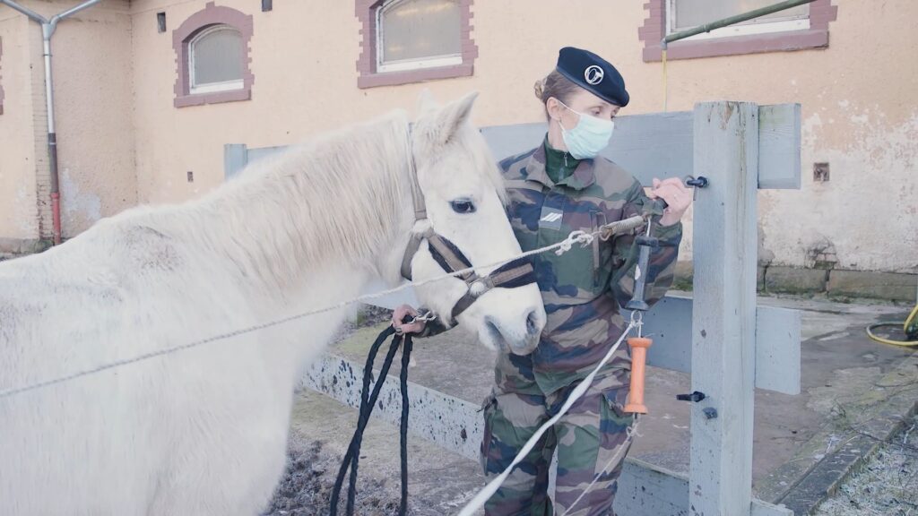 À la découverte de la section équestre du 16ème bataillon de chasseurs à pied