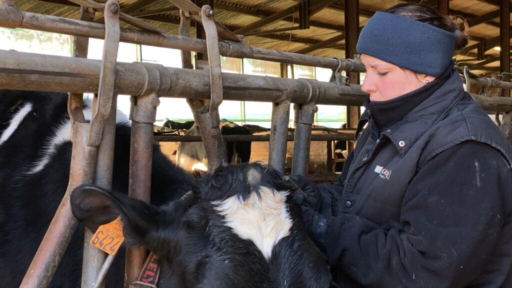 Agriculture : les femmes sont mieux représentées