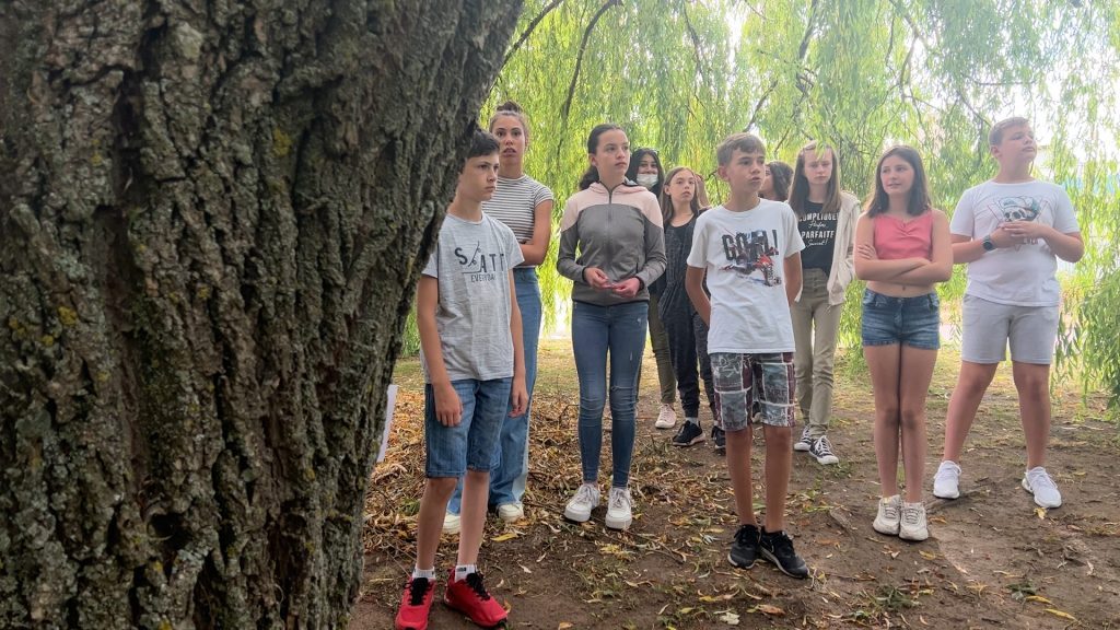 Un arboretum créé par les collégiens du Himmelsberg