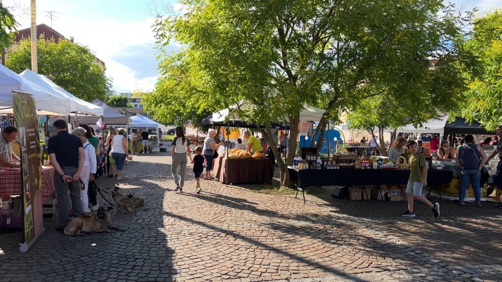 Une nouvelle soirée en été à Sarralbe