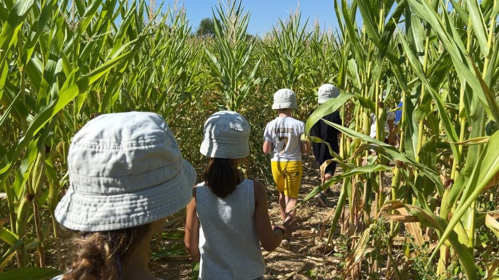 Breidenbach : le labyrinthe ouvre ses portes