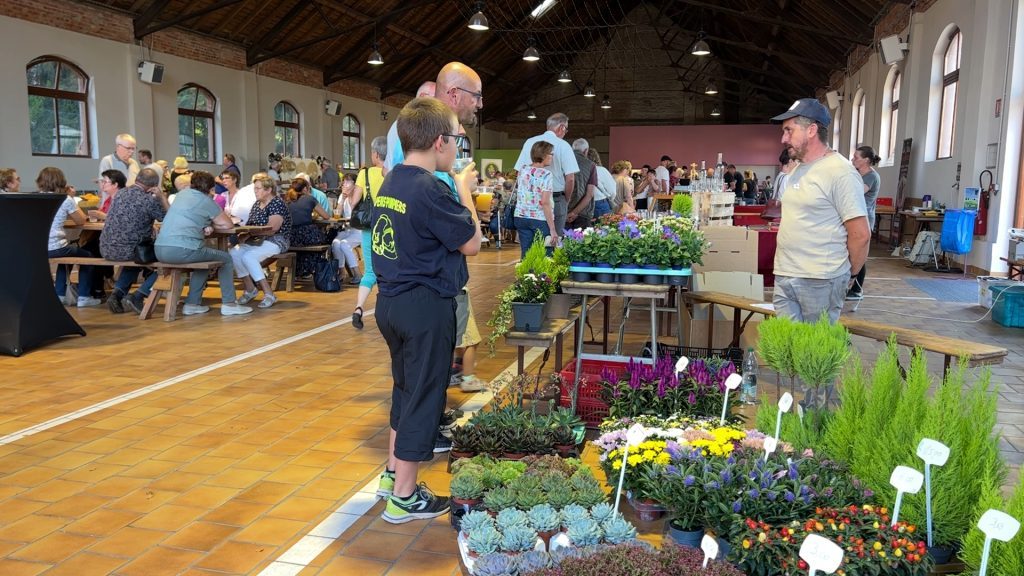 La ville de Bitche organisait son 3e marché couvert nocturne