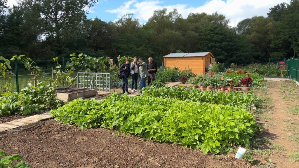 Les jardins partagés se développent à Bitche