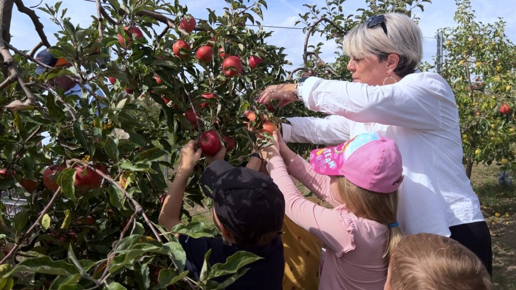 Les enfants découvrent le cycle de vie des arbres fruitiers