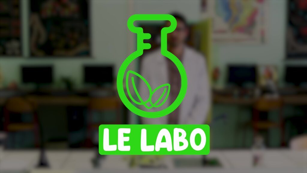 Le labo : les dépôts sauvages