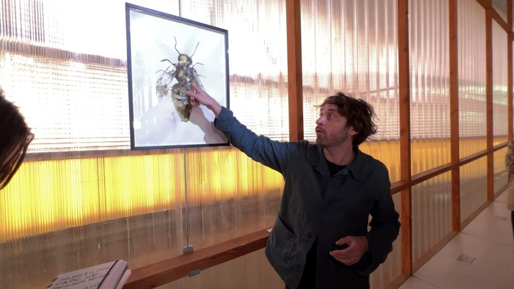 Une ruche au musée de La Grande Place