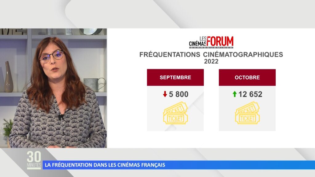 La fréquentation dans les salles de cinémas français