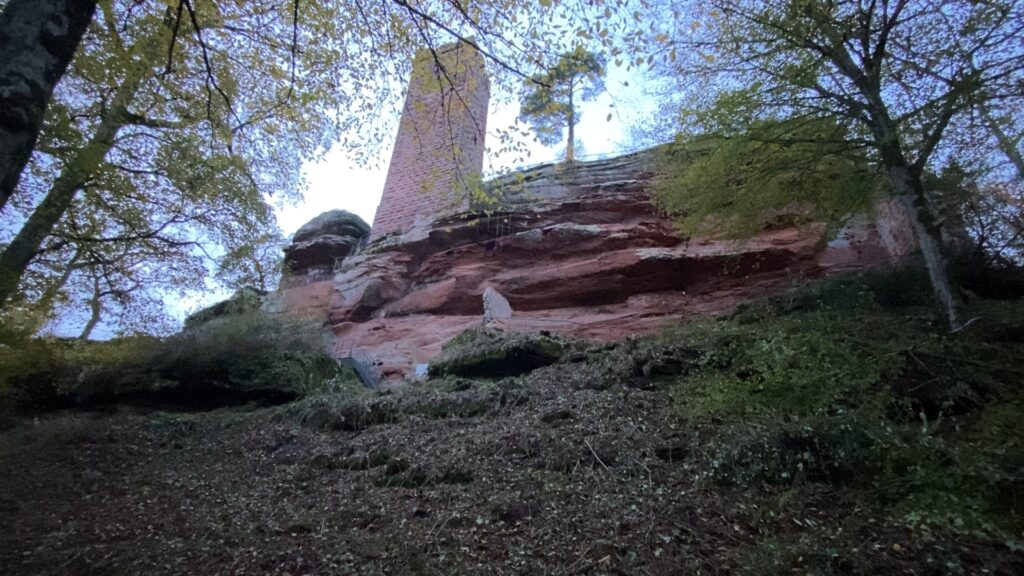 Le château du Waldeck débroussaillé par des bénévoles