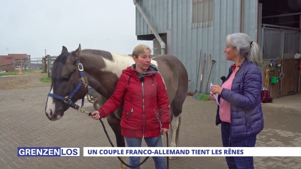 Grenzenlos : L'écurie de la colline à Cadenbronn