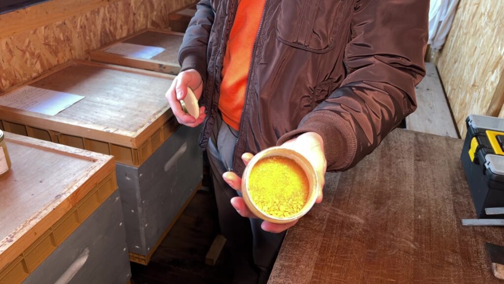 La propolis : un remède miracle en hiver ?
