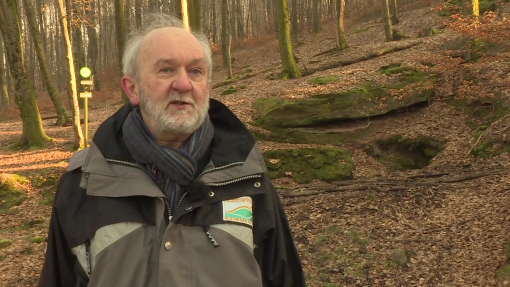La Fondation du Patrimoine s’intéresse aux rochers sculptés du Pays de Bitche