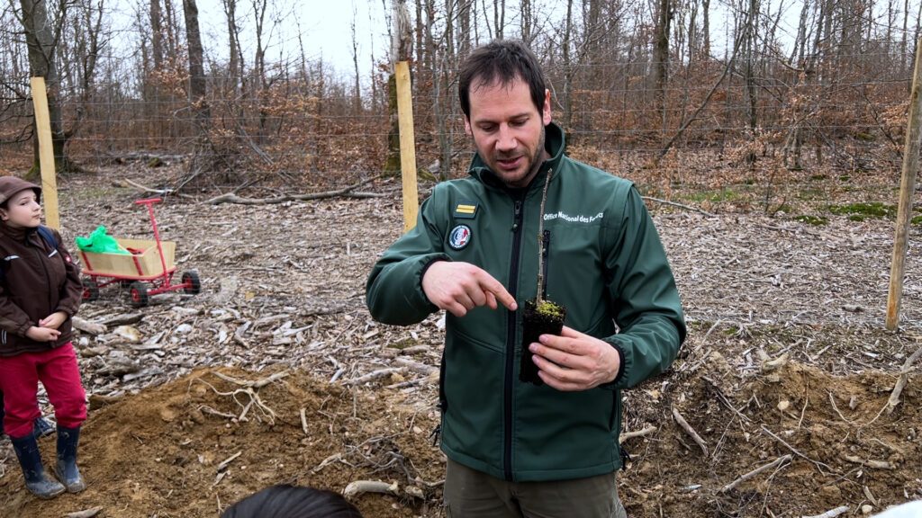 Relance des forêts communales : Zetting fait participer ses élèves