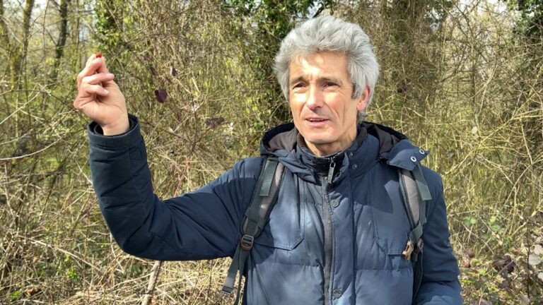 Une balade pour découvrir les trésors de la forêt avec Michel Greff