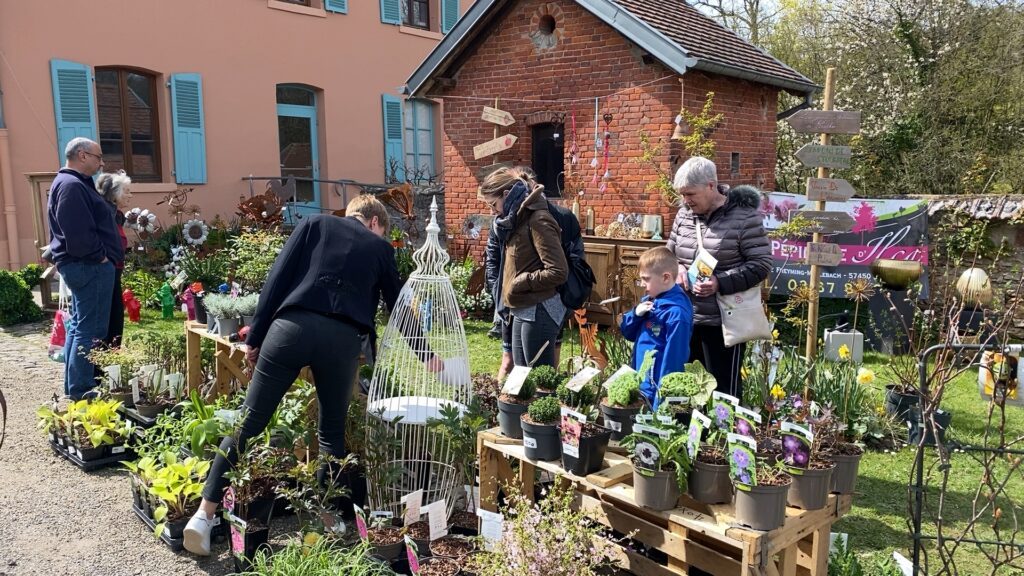 Franc succès pour la 12ème édition du marché aux plantes et aux pots