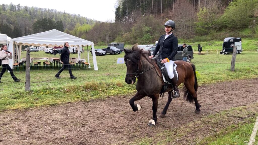 Baermót : Le cheval islandais à l’honneur à Baerenthal