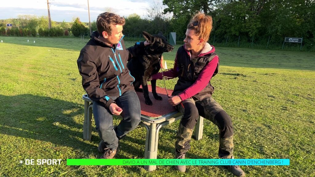 David a un mal de chien avec le Training Club Canin d’Enchenberg !