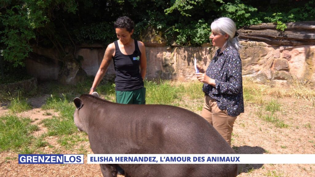 Grenzenlos : le zoo de Sarrebruck