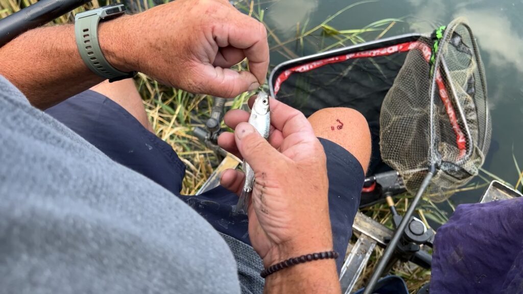 Rémelfing et Wittring accueillaient les championnats de France de pêche au coup