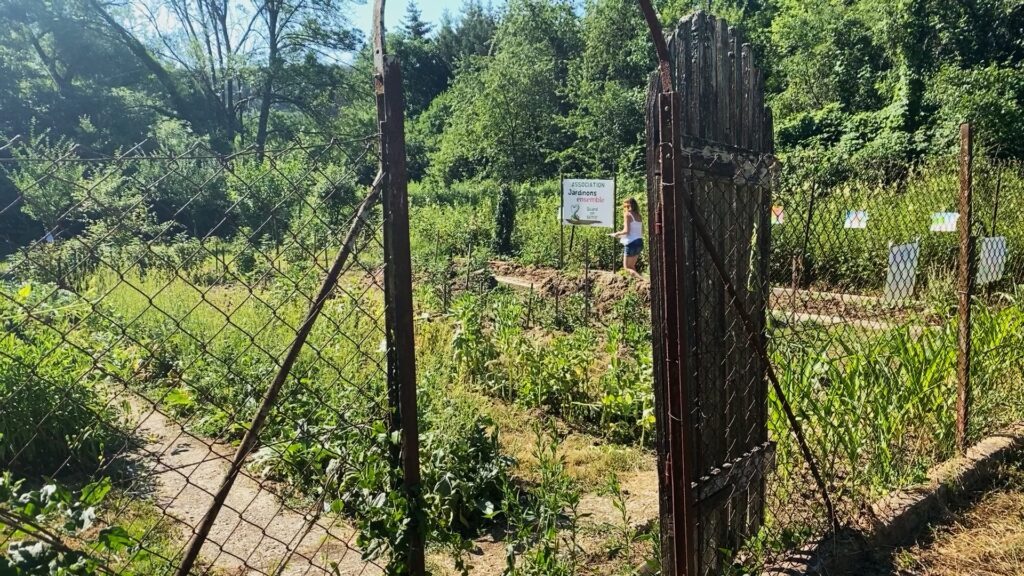 Le jardin partagé de Lixing-lès-Rouhling inauguré !