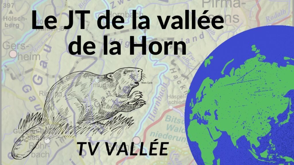 Le JT de la vallée de la Horn : à la découverte du castor