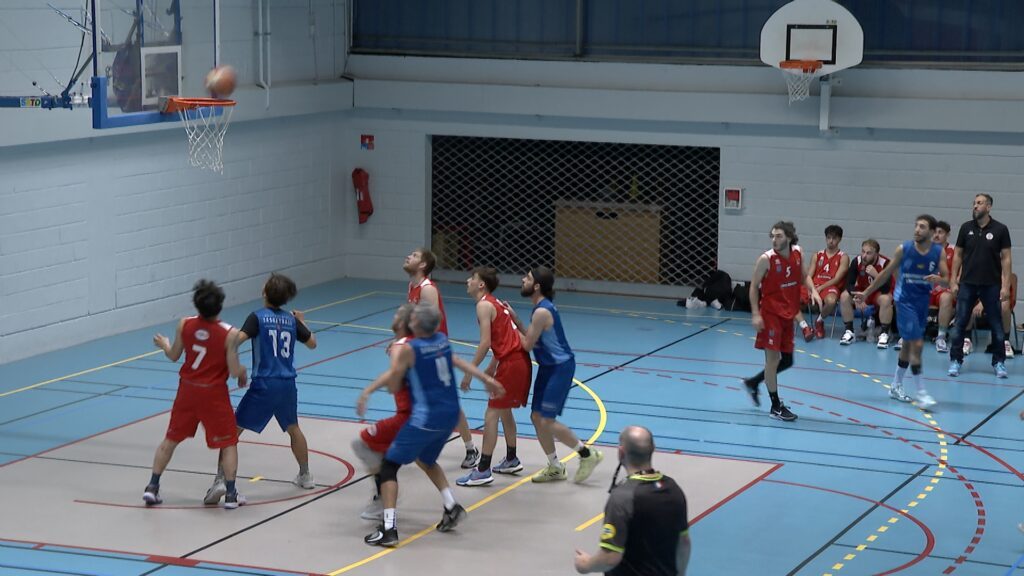 Basket : rendez-vous manqué pour les Loups Alpha