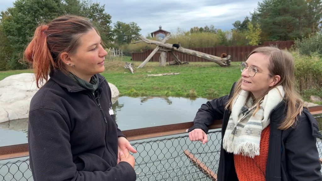 En immersion... avec une soigneuse animalière du Parc Sainte-Croix