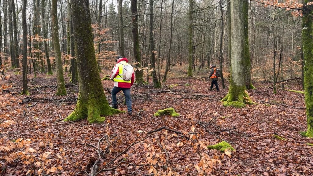 Des recherches archéologiques dans le Pays de Bitche