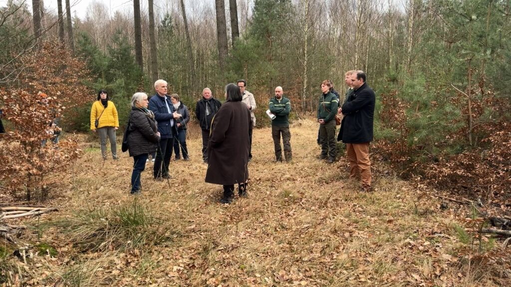 Un projet de forêt sanctuaire à Bitche