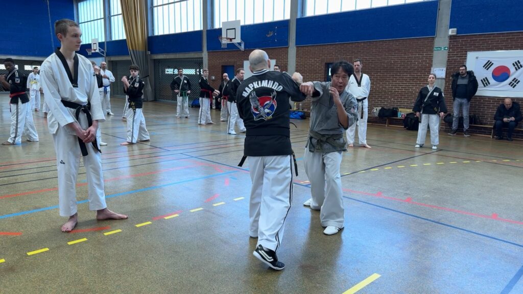 Stage de découverte de l’hapkimudo à Sarreguemines