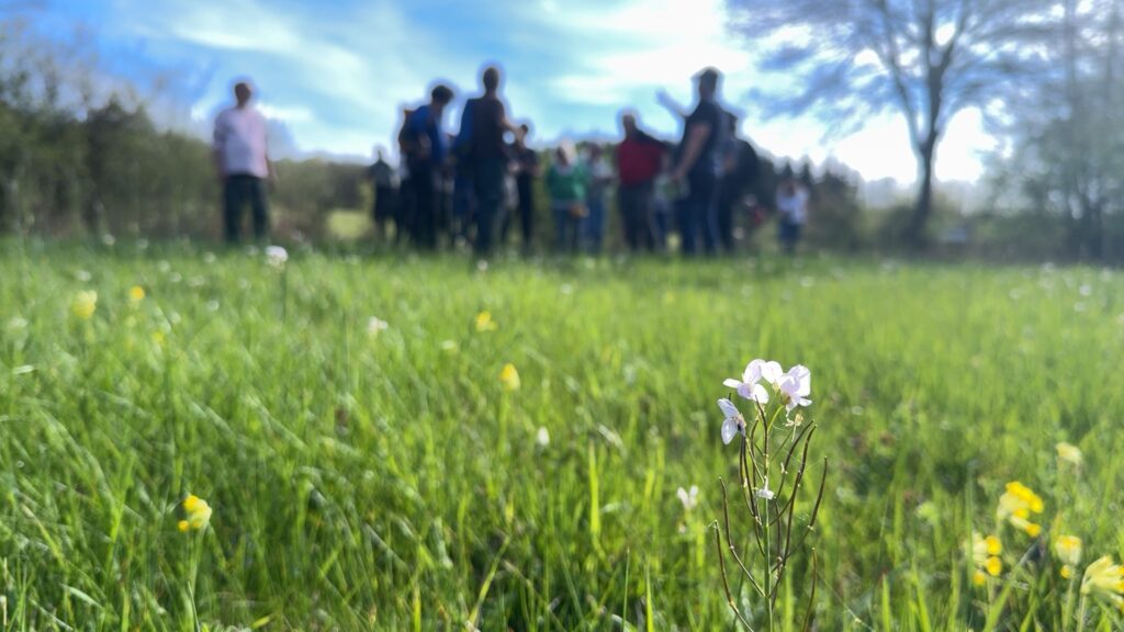 Un Conservatoire agit pour pérenniser le patrimoine naturel