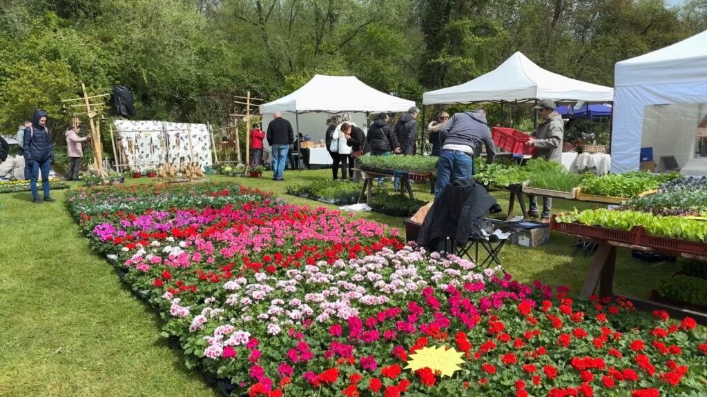 13ème édition du Marché aux Plantes et aux Pots