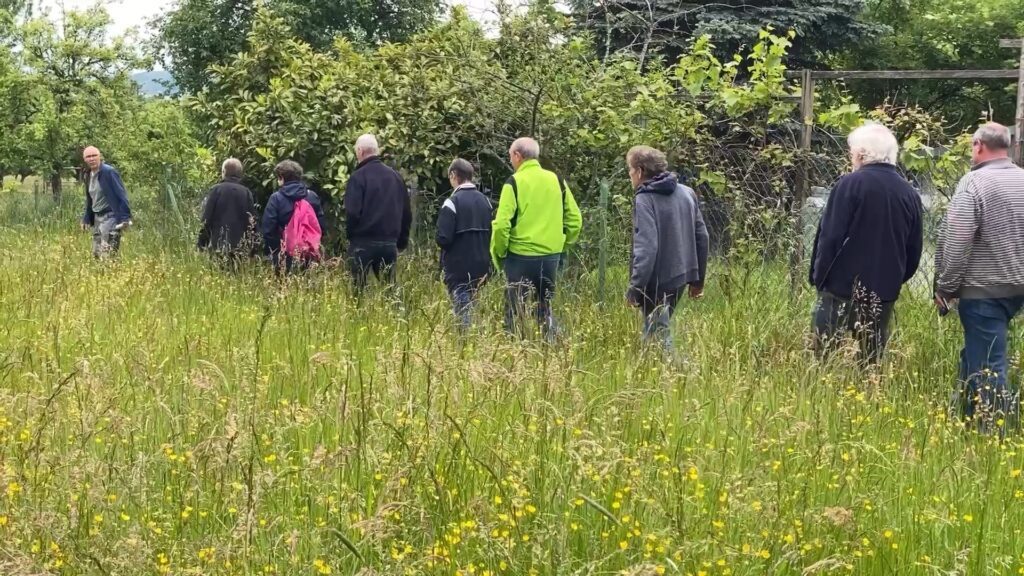 Un festival pour mieux connaître et apprécier la faune et la flore