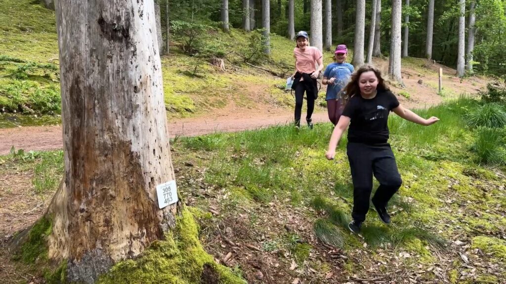 Deux parcours de course d’orientation ont été créés à Bitche