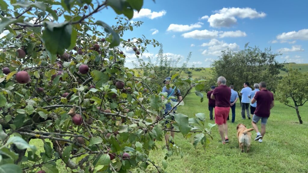 25 ans du verger collectif de Roth : un espace à préserver pour les arboriculteurs