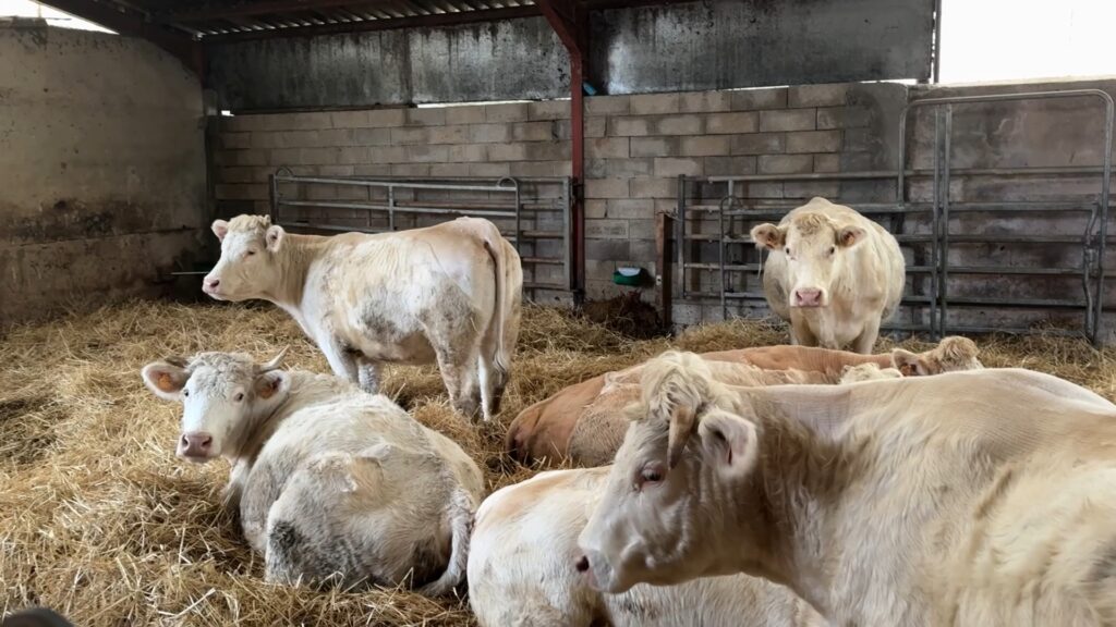 “Territoires et filières” reprend la Chambre d’agriculture de Moselle