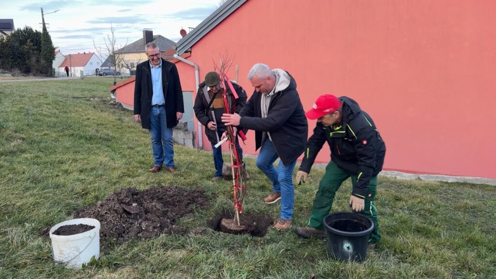 Commémorations : Un arbre planté pour la Mémoire