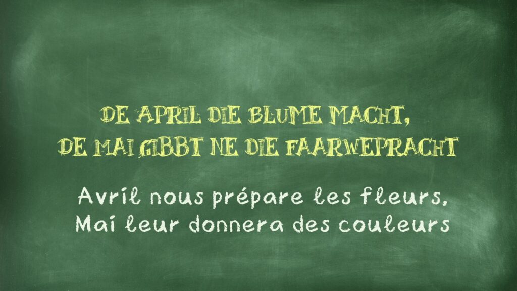 Hop'la : La minute Platt du 02 avril 2025