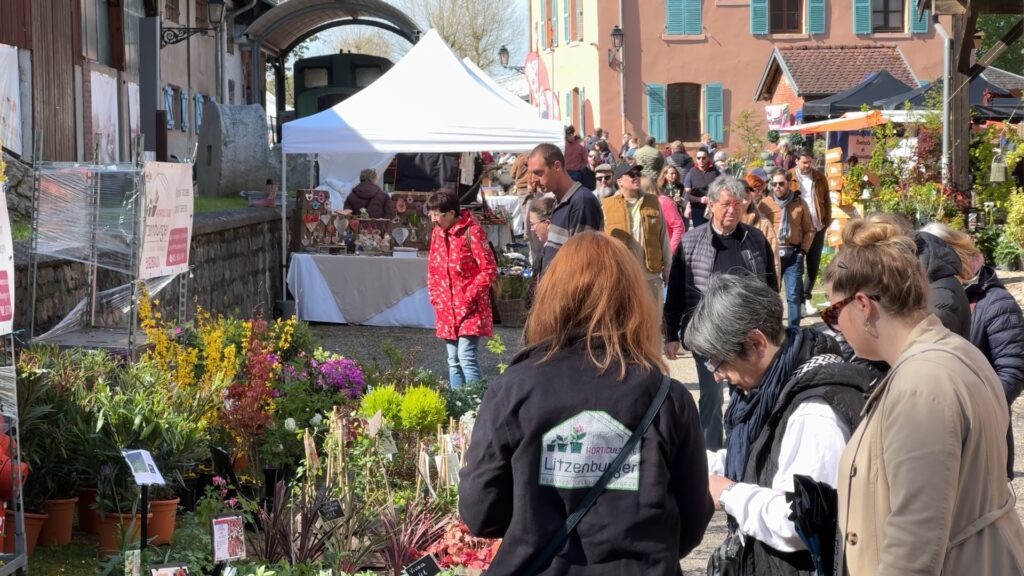 Des plantes par milliers au Moulin de la Blies